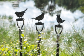 Regenmeter spade met vogel omhoog kijkend
