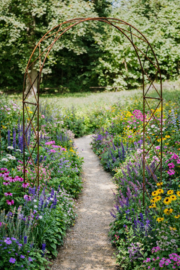 Rozenboog Viola -120-