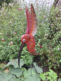 Medusa tuinsteker kolibrie -2-