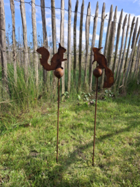 Plantensteker eekhoorn nieuwsgierig op kogel