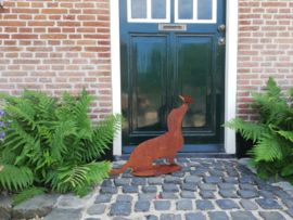 Teckel met vlinder op de neus