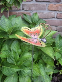 Medusa tuinsteker vlinder S -6-
