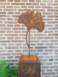 Ginkgoblad op voetplaat