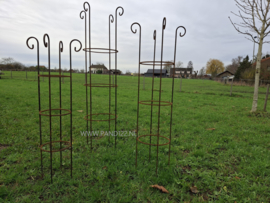 Plantensteun met krul -M-