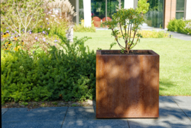 Plantenbak 50x50x50cm. | 2mm. Met bodem.