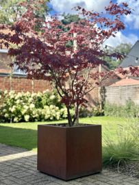 Plantenbak 50x50x50cm. | 2mm. Met bodem.