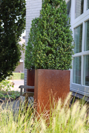 Plantenbak 60x60x75cm. | 2mm. Met bodem.