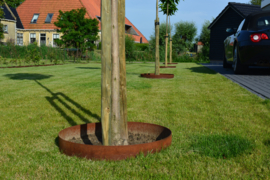 Boomring ø48x10cm.