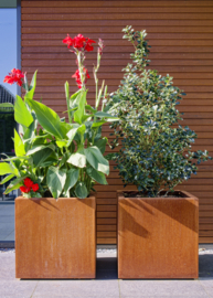Plantenbak 50x50x50cm. | 2mm. Met bodem.