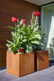 Plantenbak 50x50x50cm. | 2mm. Met bodem.