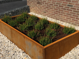 Plantenbak 300x100x20cm. | 2mm. Zonder bodem.