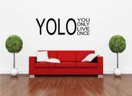 YOLO You Only Life Once