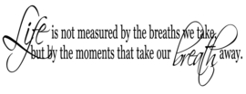 Life is not measured by the breaths we take, but by the moments that take out breath away.