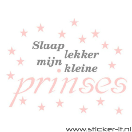 Slaap lekker prinses