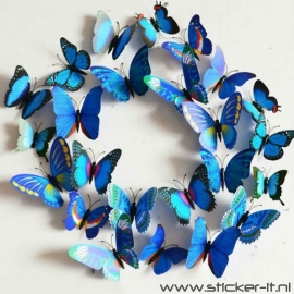3D vlinders luxe blauw