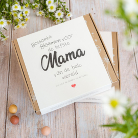 GIFT BOX MEDIUM – MAMA