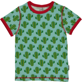 shirt cactus, Maxomorra