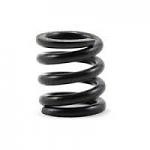 Slipper Clutch Spring C=50 X364181
