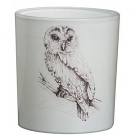 Bolsius Glas Forest Owl Wit