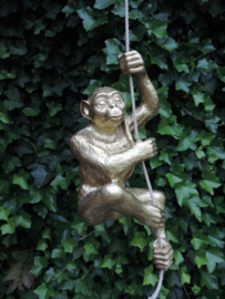 Hanging Monkey gold