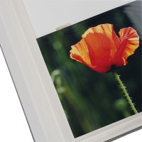 Dorr UniTex Foto album insteek 300 Foto's 10x15  rood