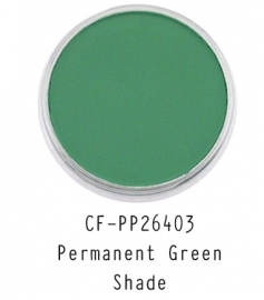 CF-PP26403 PanPastel Permanent Green Shade 640.3