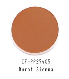 CF-PP27405 PanPastel Burnt Sienna 740.5