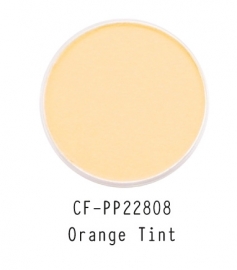 CF-PP22808 PanPastel Orange Tint 280.8