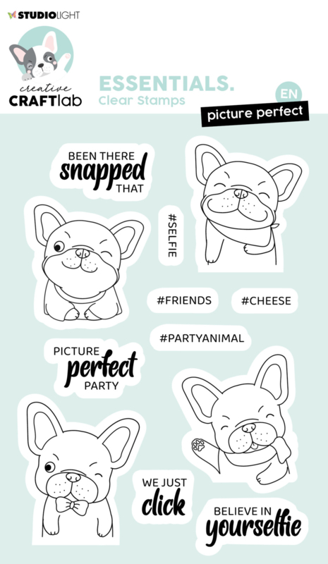 CCL-ES-STAMP221 CraftLab Stempel Picture perfect Buddy