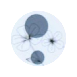 Sticker - bloemen