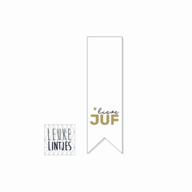 Sticker | Vaantje | Lieve Juf