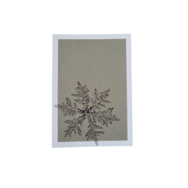 Label - Minikaart - Flowers