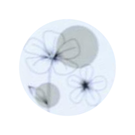 Sticker - bloemen