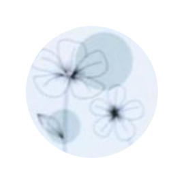 Sticker - bloemen