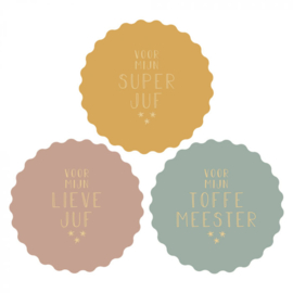 Voor mijn toffe meester - Blauwgrijs - Goud