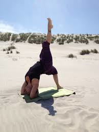 Iyengar Yoga Backbends & Inversions - Yoga Point Leidsche Rijn - zondag 22 mei - 12.30 tot 15.30 uur - Jon Doppen