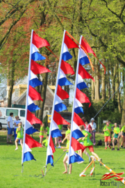 Koningsdag vlaggen