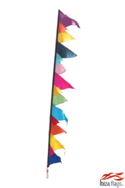 Festival vlag 3.90m huren Multicolor