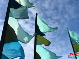 Festival vlag Aqua