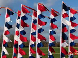 10 Rood-Wit-Blauwe festival vlaggen 3.90m recht model huren