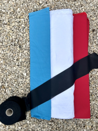 Vlaggen in huisstijl kleuren Koning Willem 2 College Den Bosch