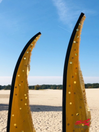 2 gouden beachvlaggen huren