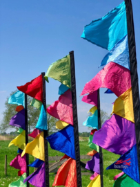 10 Multicolor festivalvlaggen 2.50m recht model huren