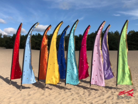 10 Colormix festivalvlaggen 2.90m met franje huren
