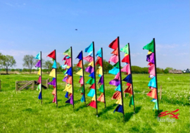 10 Multicolor festivalvlaggen 2.50m recht model huren