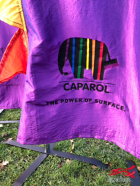 Bedrijfsvlaggen met logo voor Caparol