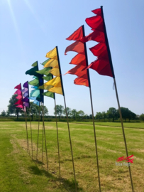 10 Colormix festival vlaggen bamboestokken 4.0m huren