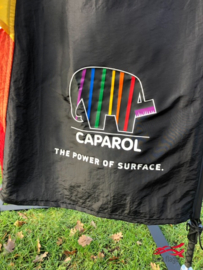 Bedrijfsvlaggen met logo voor Caparol