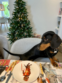 It’s a wienerful Time - Set van 6 ontbijtborden
