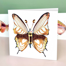 Postcards - La dolce vita du una farfalla - set van 4 stuks